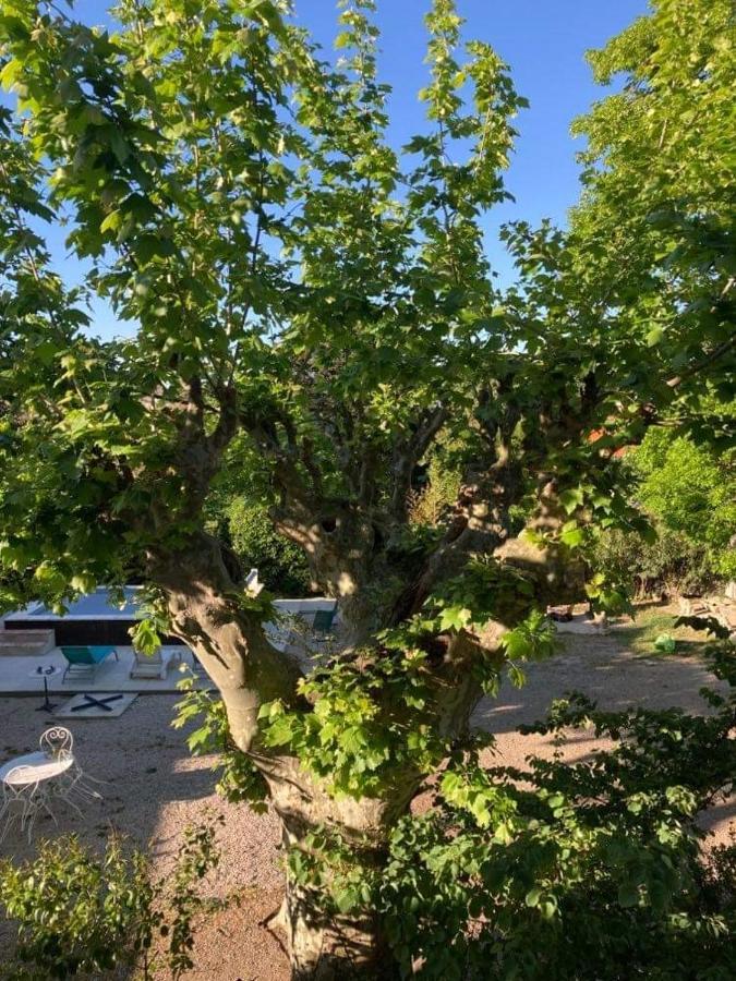 Chez Les Brocs B&B Canet  Buitenkant foto